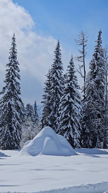 Волшебный Алтай в марте высоко в горах