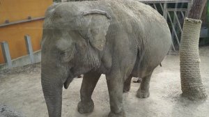 Сафари парк — Геленджик 21.03.2026