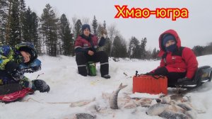 Где Клюёт Плотва .