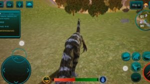 Начальное выживание тёрки