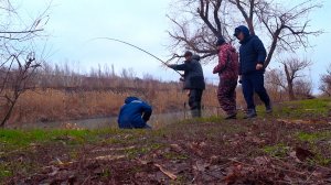 САЗАНЫ СОМЫ 23.02 !!! ТЕПЛЫЙ КАНАЛ