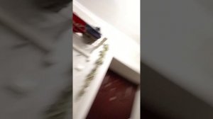 У меня есть что вам сказать ...