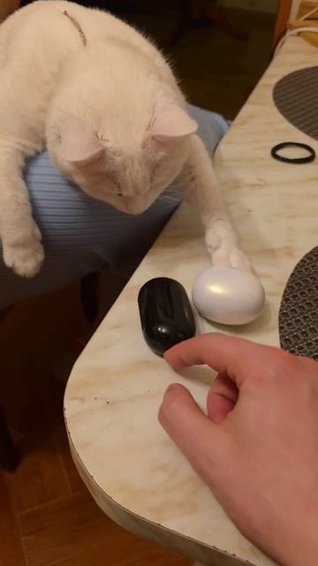 Милка тарахтит в релаксе