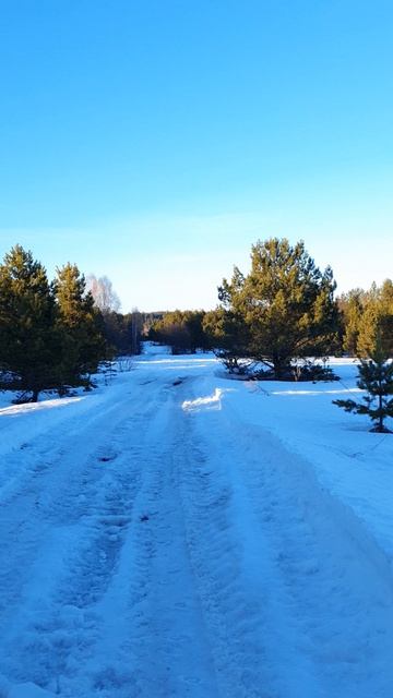 Природа в ожидании весны