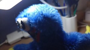 Игроман [Сериал ХАГГИ ВАГГИ И ЕГО ДРУЗЬЯ] 163 серия