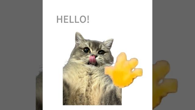 Присоединяйся к чату по ссылке:
Https://max.ru/join/JvdzwvIyxv7XFrrzSKTksH62RqiSaHHwF46DEl2YQ28