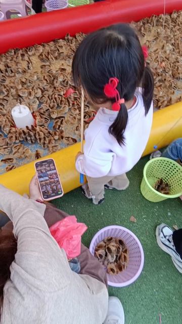 рыбалка на цыплят.