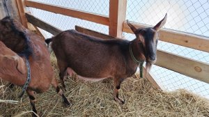 22-03-2026 Не знаю, что будет на следующий год.