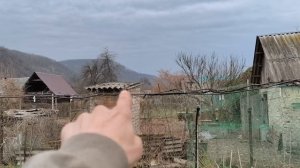 Полив Елена 2