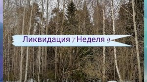 СП "Ликвидация 7". Неделя 9. Участник 9