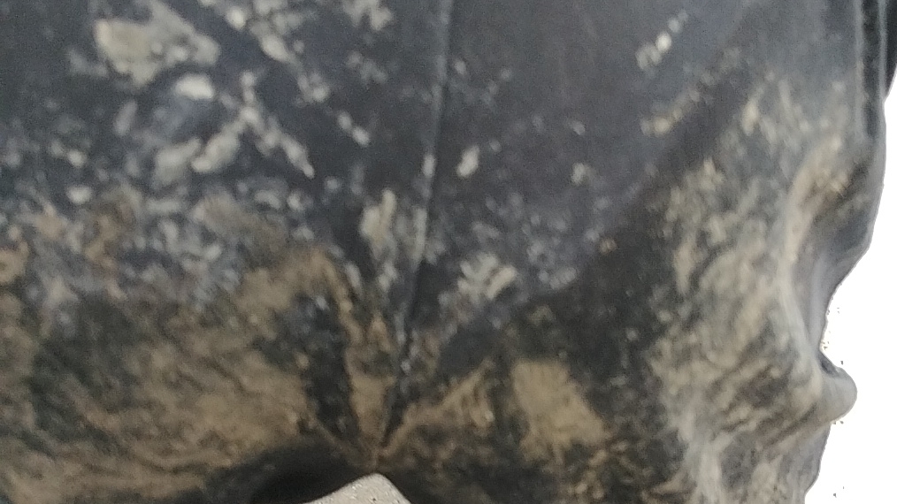 бабка бесится