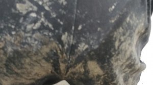 бабка бесится