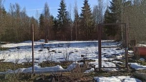 Снег растаял Дача март 21.03.2026