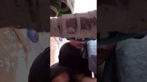 Басик подрался😰😭😭