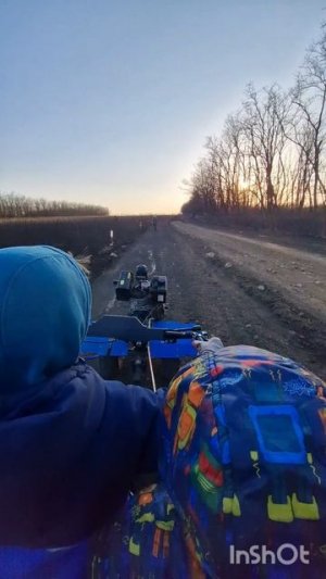 22 03 26 разбивка виноградника