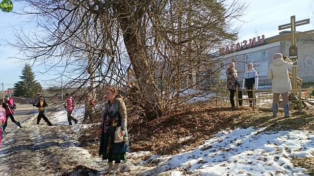 Прогулки из СПб. Лыжная стрела. История пос. Шапки.