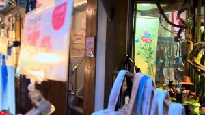 Токио цветение сакуры храм Сэнсо дзи и ночные улицы прогулка по контрастам города