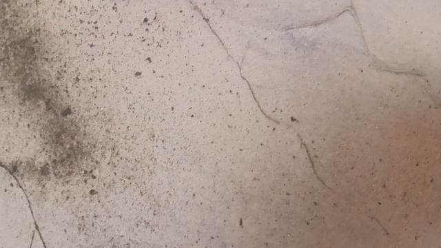 Декор для дома