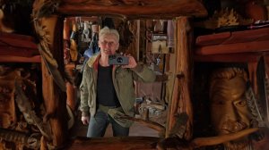 Тёплый вечер, поездка в город и верные собаки