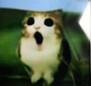 играю в бравл