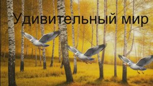 Гуси, гуси такие милые .Пока не работает уже третий день интернет , вспомним приятные минутки .