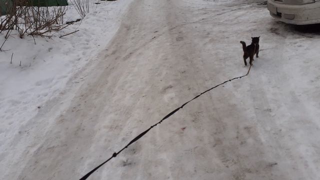 Подышать свежим воздухом на улице тоже хорошо.