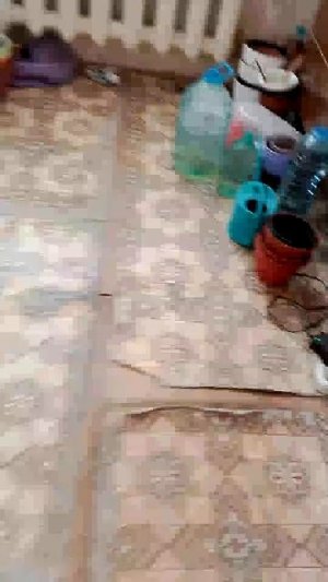 ловим Буську