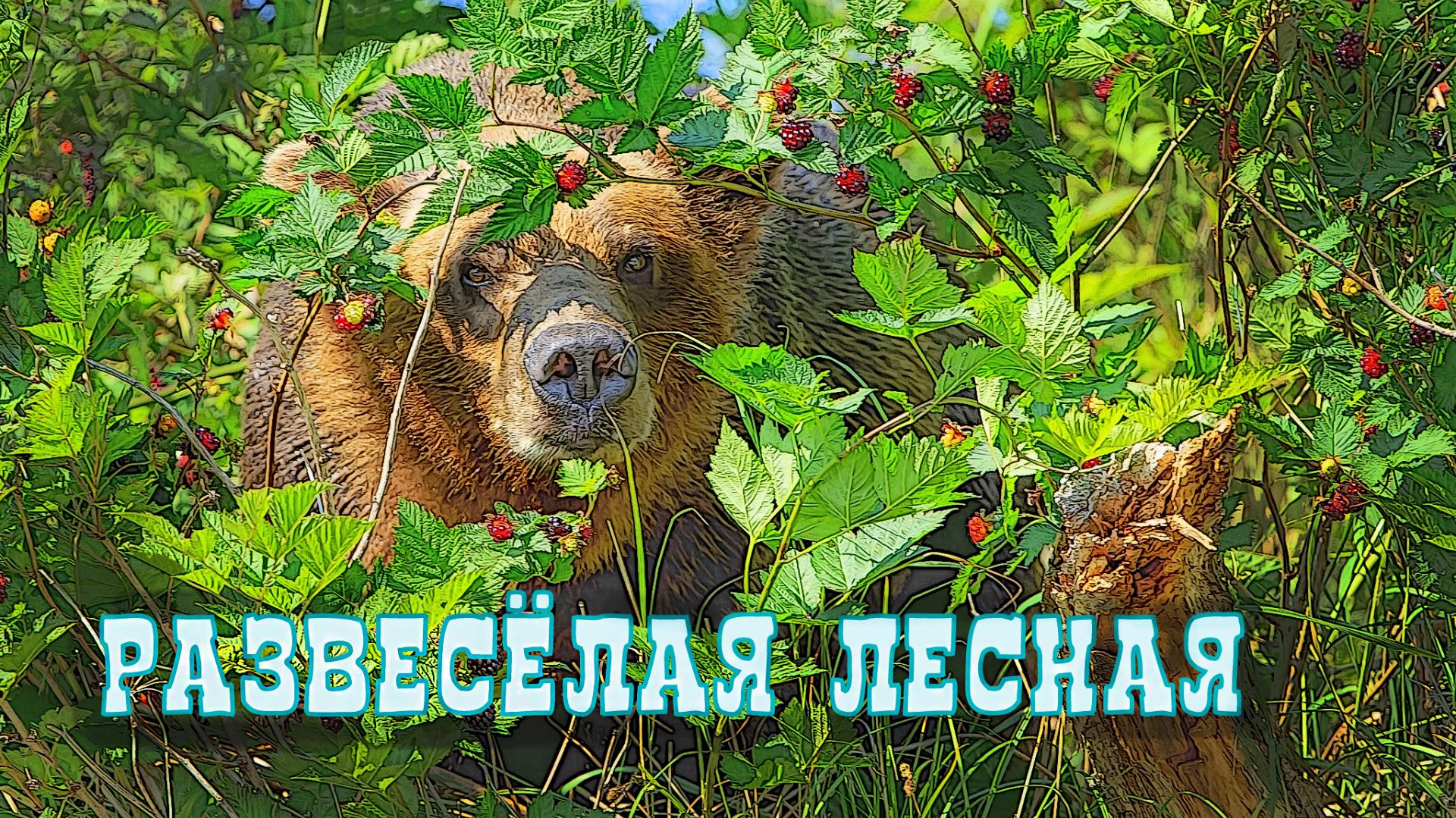 РАЗВЕСЁЛАЯ ЛЕСНАЯ