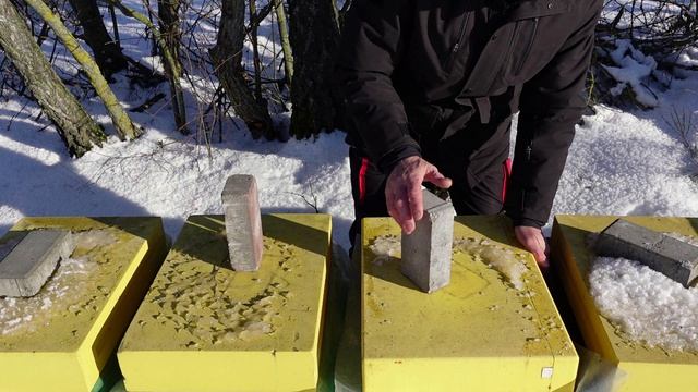 первый осмотр пасеки в новом сезоне 2026