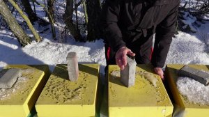 первый осмотр пасеки в новом сезоне 2026