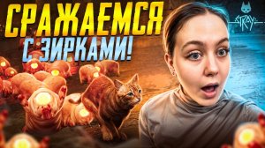 НОВАЯ ГЛАВА / КРЫШИ / СТРЭЙ 5 ЧАСТЬ