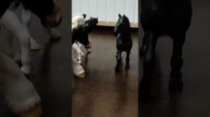 Клип Кукушка