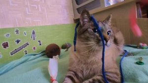 😻 Аксель и море игрушек: весёлый переполох 😸