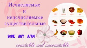 Исчисляемые и неисчисляемые существительные
