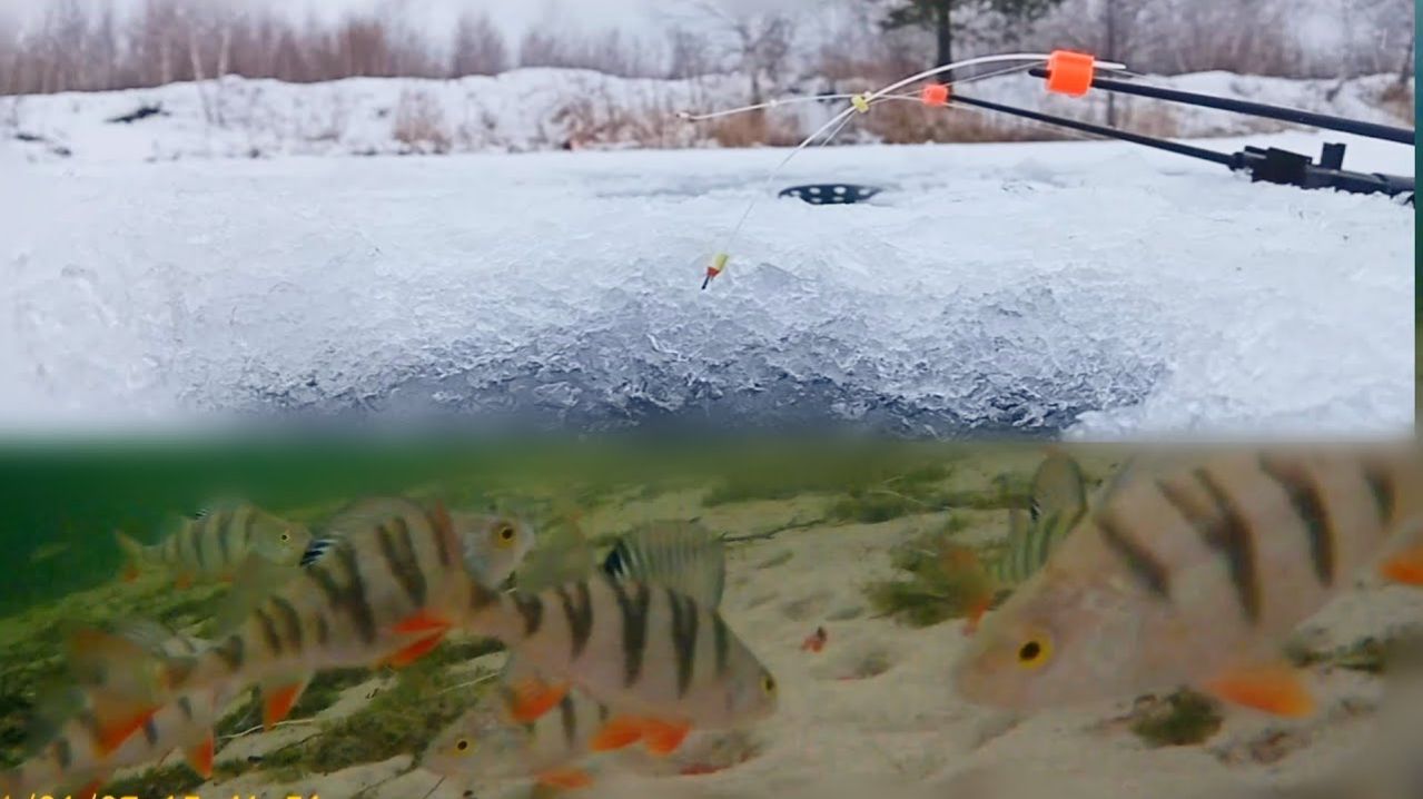 Нереально Крутая Зимняя Рыбалка в Восточной Сибири. Очень Много Рыбы. Подводная Рыбалка 2026 Онлайн
