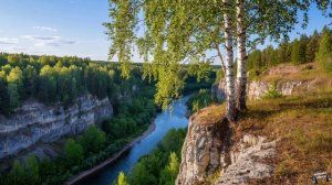 Берёза белая стояла 🎵 Песня