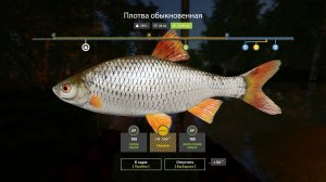 Играем в Russian Fishing 4 ловим краснопёрку,плотву,тарань и другую рыбку на р.Донец.