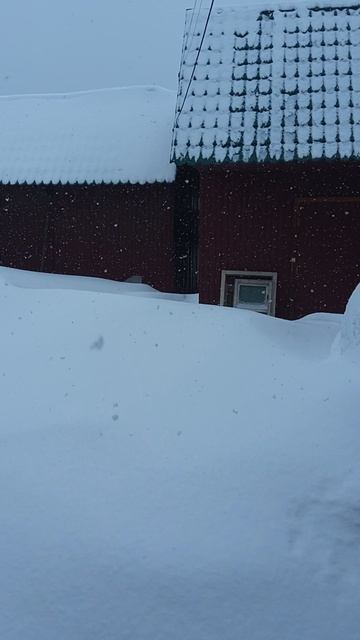 Репортаж с места работы. Обзор снега, кому надо увидеть, так сказать Объём и Масштаб