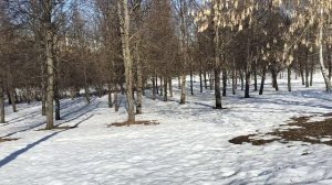 "Ещё в полях белеет снег,а воды уж весной шумят..."Ландшафтный парк"Митино",г Москва