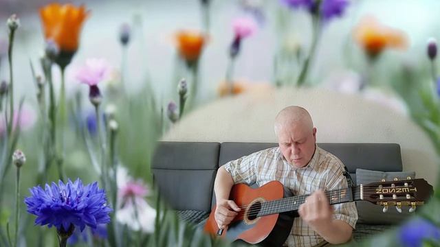 Васильки - ретро песня под гитару, 22.03.26.