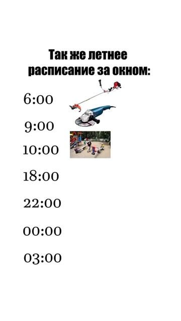 Жиза? Жиза? #весна #скоролето #летом #питомцы #милота #шортс #юмор #смешноевидео #приколы #кот