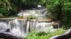 Успокаивающая музыка для нервов 🌿 лечебная музыка для сердца и сосудов, релакс, музыка для души