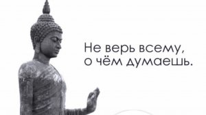Эфир 20.03.26 г "Зачем высвобождать негативные эмоции"