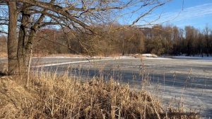 Серебряный бор_22-03-2026