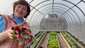 Первый урожай в Марте! | Посадка картофеля | Жизнь на своей земле