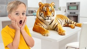 Учимся различать названия и факты о диких животных