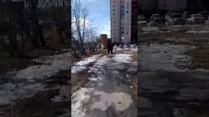 на прогулке