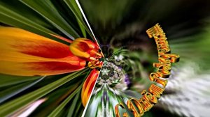 Весеннее Поздравление С Днём Рождения 4 от Киностудии Мудрого Кота Тимофея!