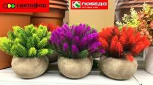 СВЕТОФОР ОГРОМНАЯ ПОСТАВКА! СТОЛЬКО ВСЕГО НЕОБЫЧНОГО КУПИЛА  НОВИНКИ В ПОБЕДЕ СКИДКИ