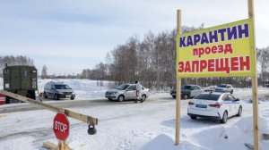 Карантин и проверки: в ряде регионов ввели ограничения из-за вспышек пастереллеза среди скота